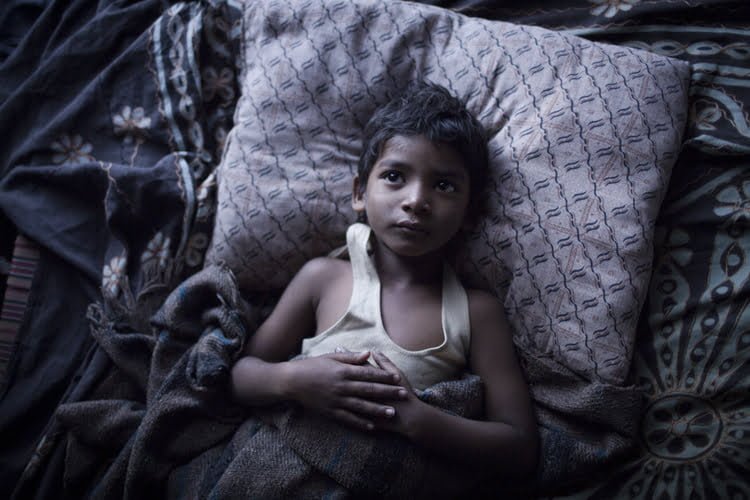 lion-sunny-pawar
