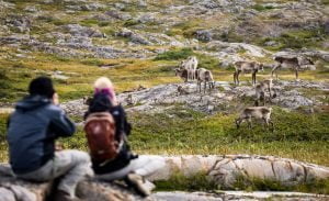 Joe Batt's Arm, Fogo Island