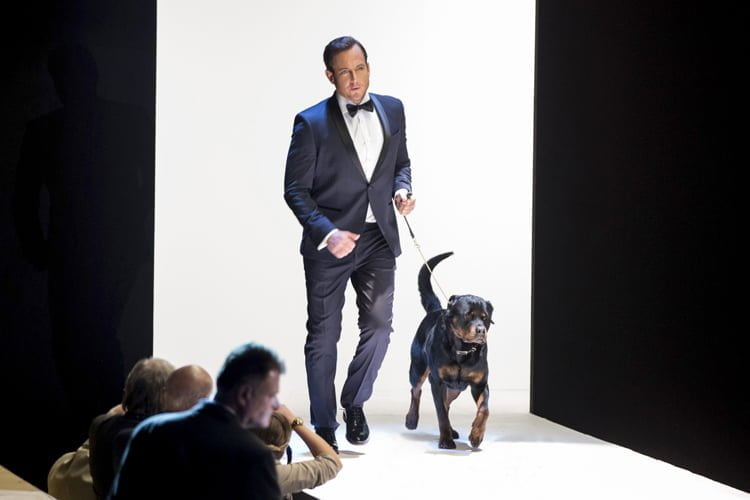 Review: Show Dogs | The GATE