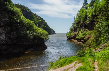 Fundy National Park