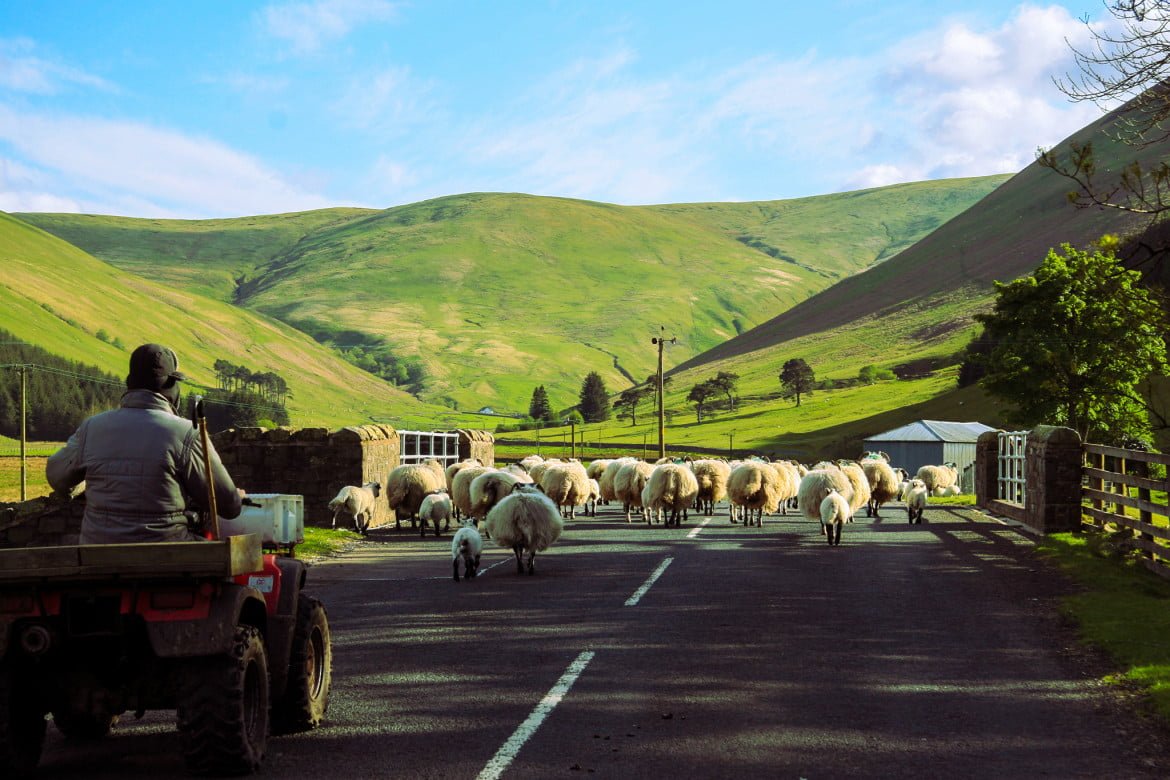 Scotland Borders