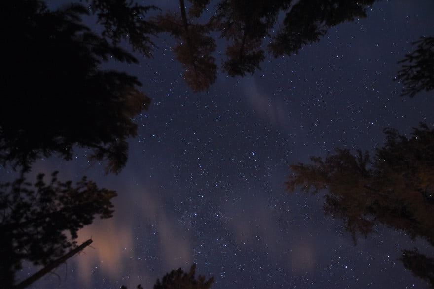 Starry sky and trees over Ojibway Campground campsite, Quetico Provincal Park