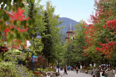 Whistler village with Fall trees