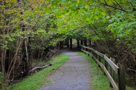 Rockwood Park