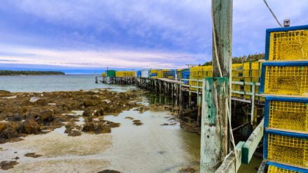 Big Tusket Island
