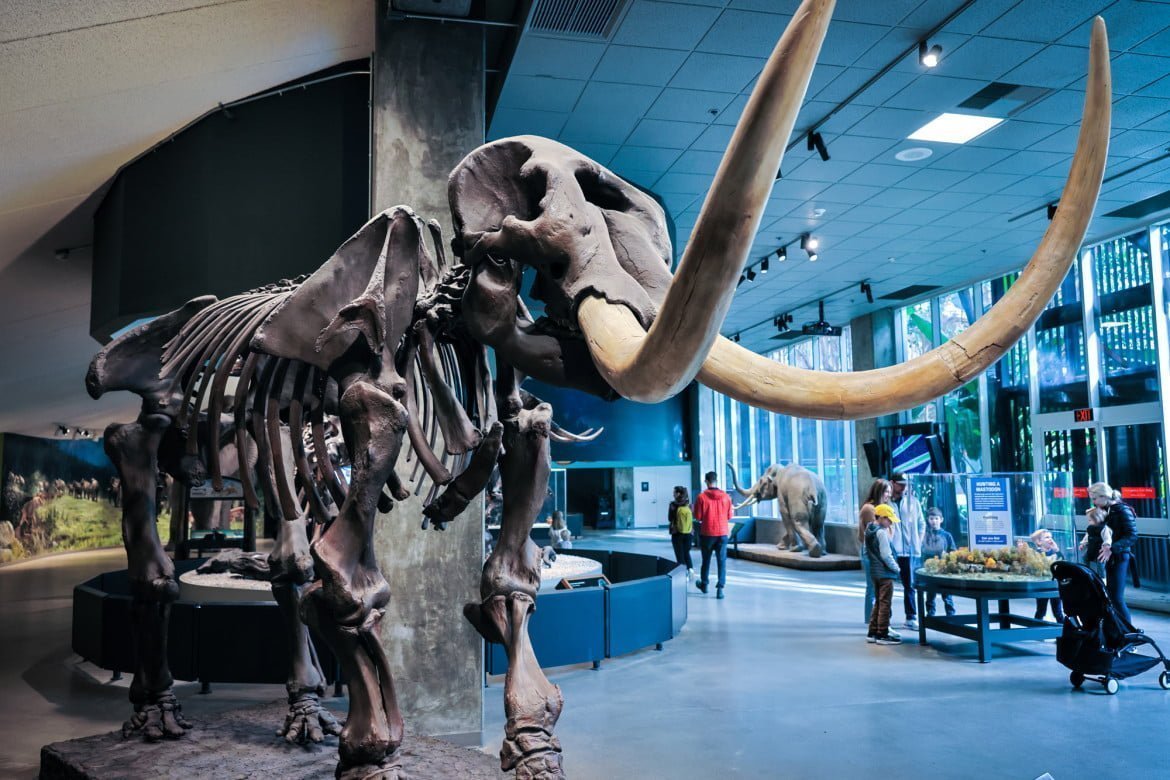 La Brea Tar Pits