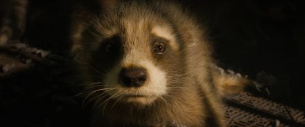 Baby Rocket (voiced by Bradley Cooper)
