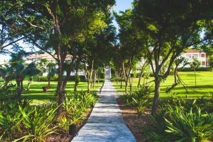 Como Parrot Cay, Turks and Caicos